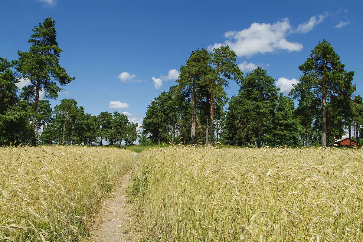 ... ����� ������� ���������� �� PhotoGeek.ru #������ ��� �������