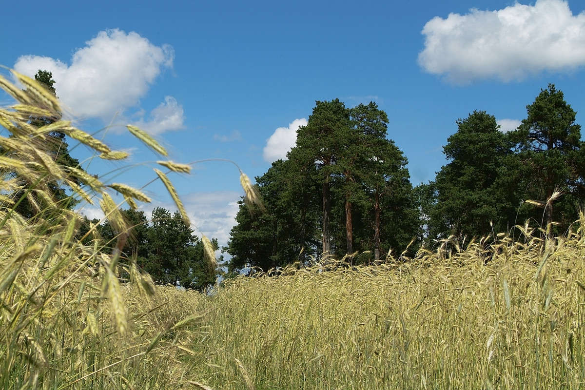 ... ����� ������� ���������� �� PhotoGeek.ru #������ ��� �������