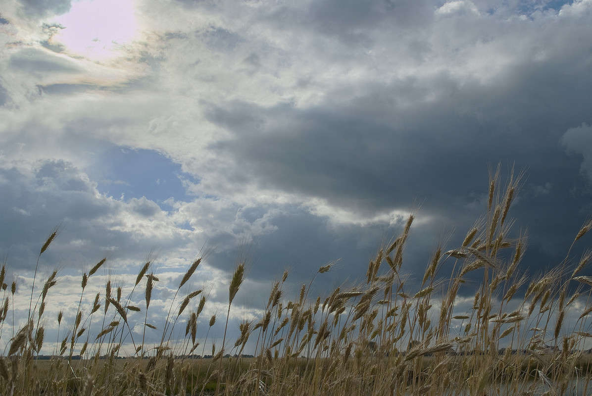 ����� ����� ������� ���������� �� PhotoGeek.ru #������ ��� �������