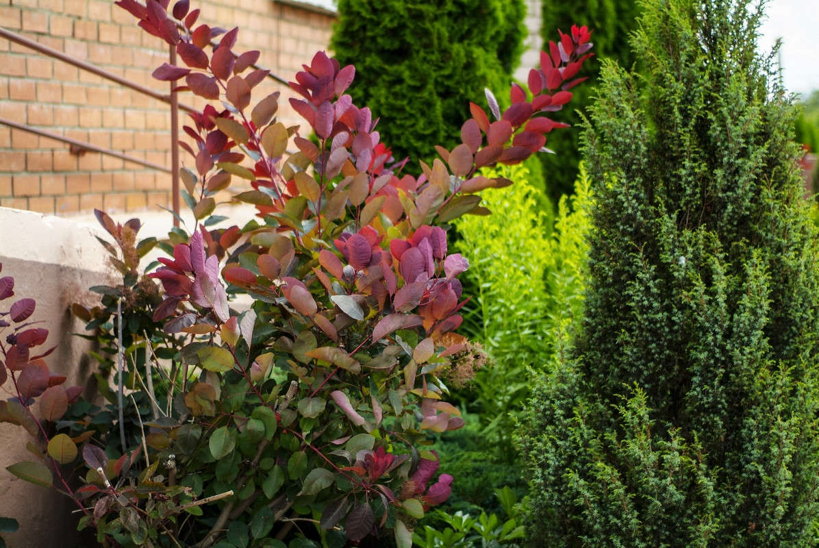 ... ����� ������� ���������� �� PhotoGeek.ru #�������� ����������