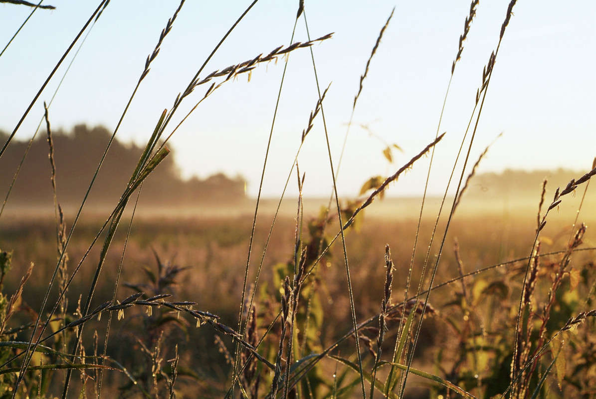 ... ����� ������� ���������� �� PhotoGeek.ru #������ ��� �������