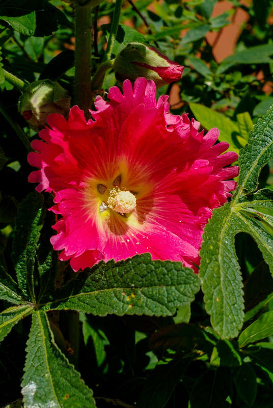 ... ����� ������� ���������� �� PhotoGeek.ru #������ ��� �������