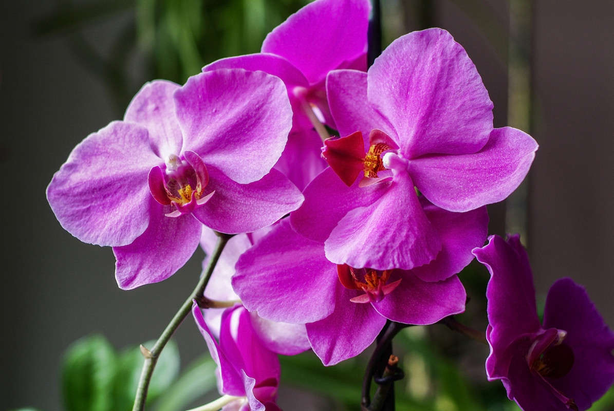 ... ����� ������� ���������� �� PhotoGeek.ru #��������