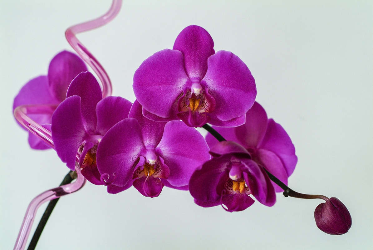 ... ����� ������� ���������� �� PhotoGeek.ru #��������