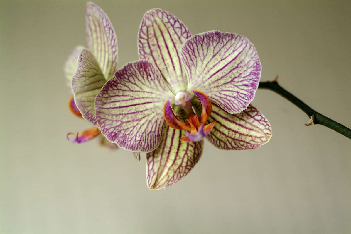 ... ����� ������� ���������� �� PhotoGeek.ru #��������