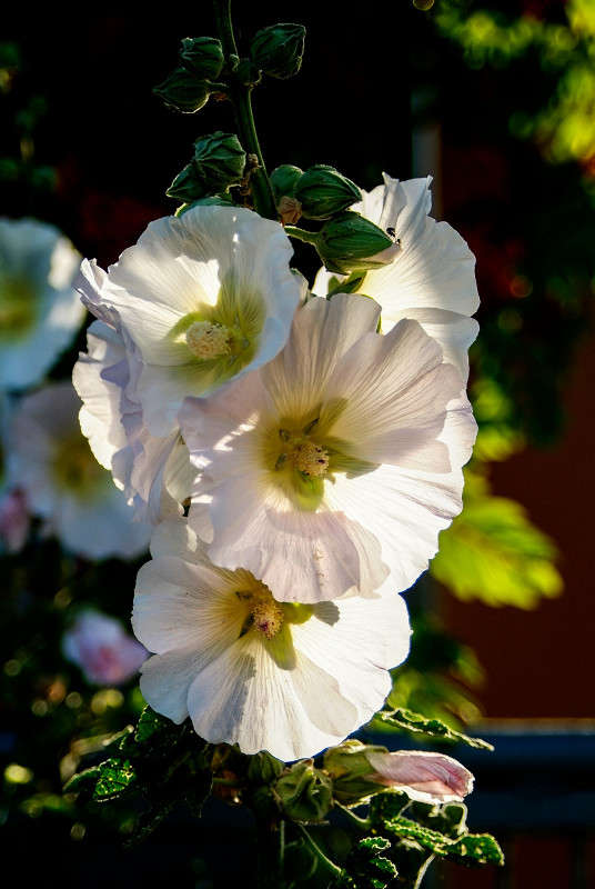 ... ����� ������� ���������� �� PhotoGeek.ru #������ ��� �������