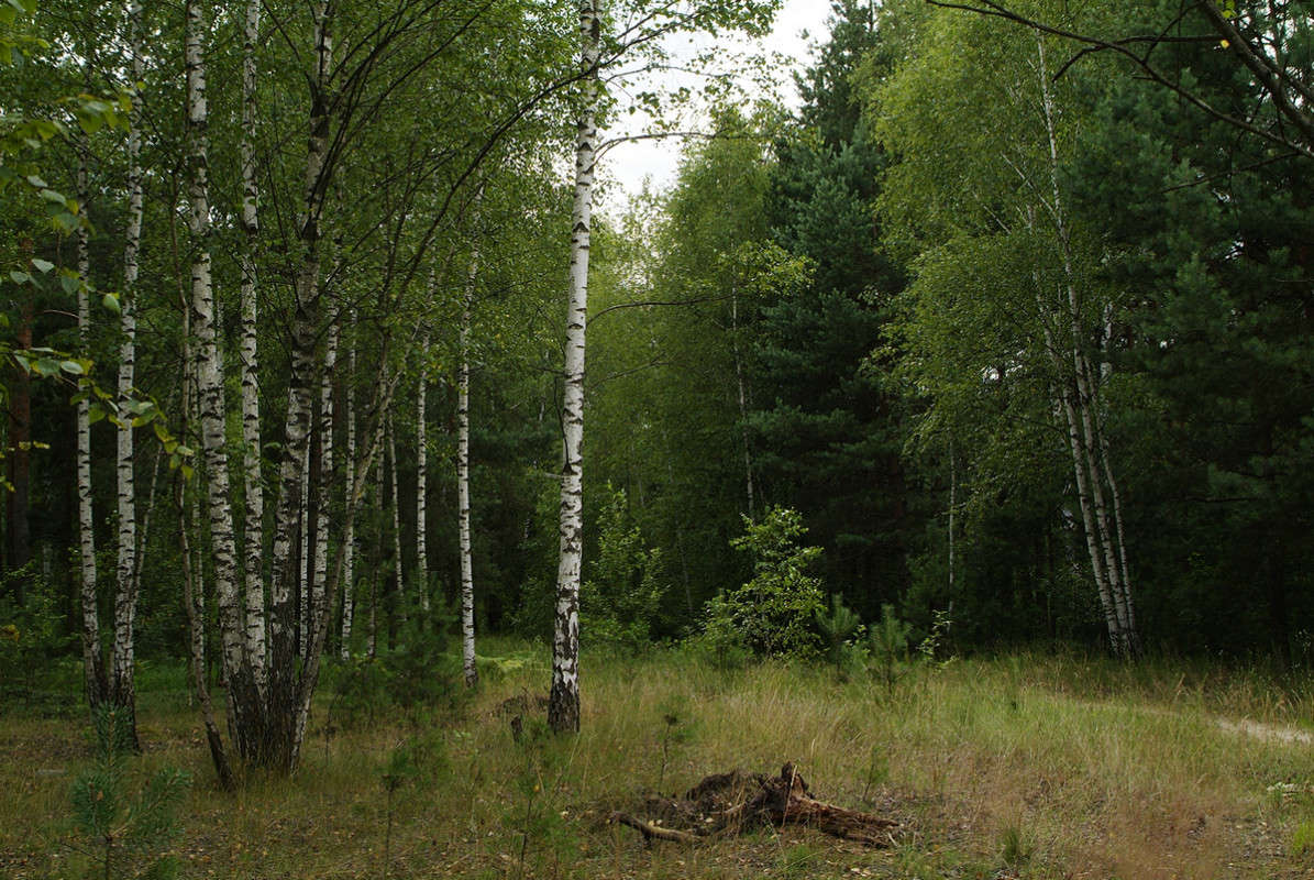 ������ �������� ����� ������� ���������� �� PhotoGeek.ru #������ ��� �������