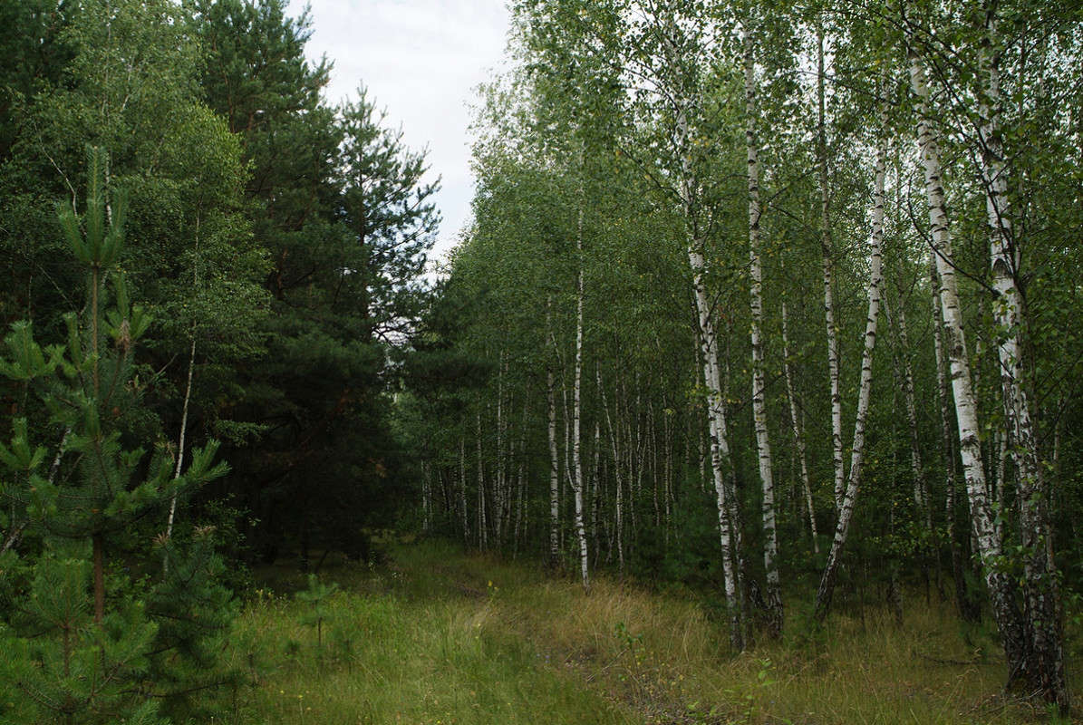 ������� ����� ������� ���������� �� PhotoGeek.ru #������ ��� �������