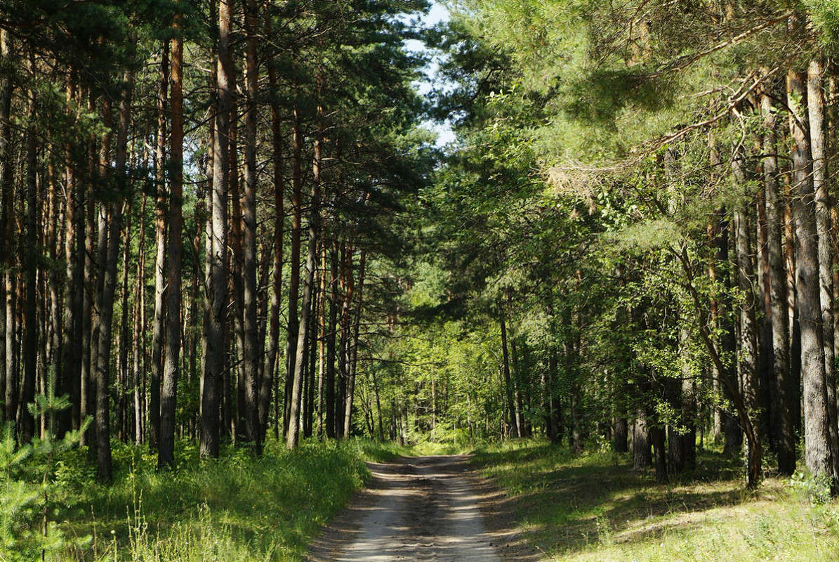 ... ����� ������� ���������� �� PhotoGeek.ru #������ ��� �������