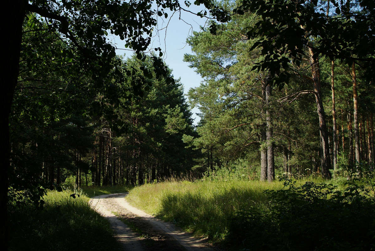 ������ ������ ����� ������� ���������� �� PhotoGeek.ru #������ ��� �������