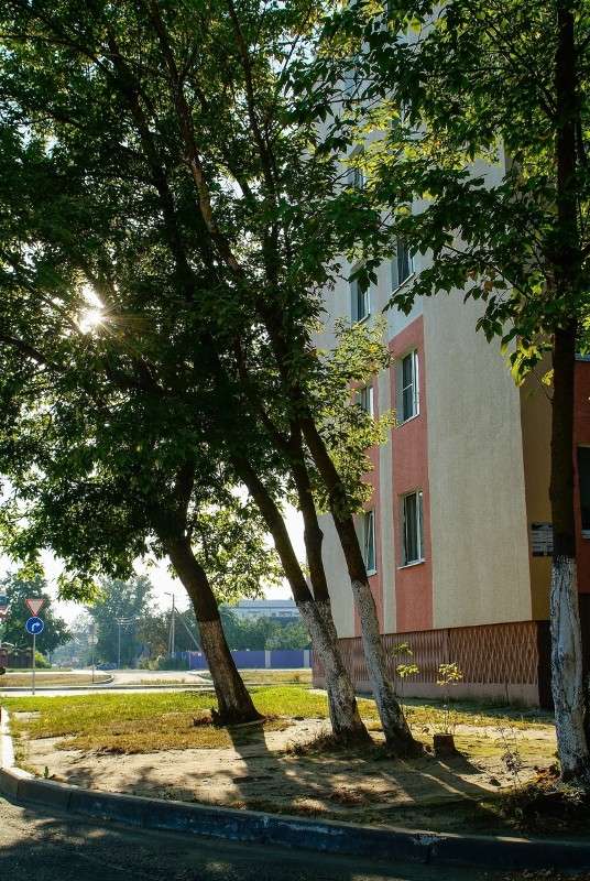 ���� � ���� ������ ����� ������� ���������� �� PhotoGeek.ru #�����