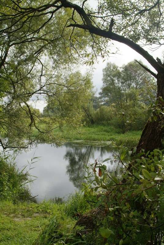 ... ����� ������� ���������� �� PhotoGeek.ru #������ ��� �������