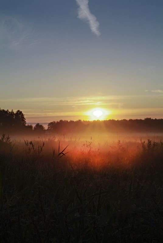 ... ����� ������� ���������� �� PhotoGeek.ru #������ ��� �������