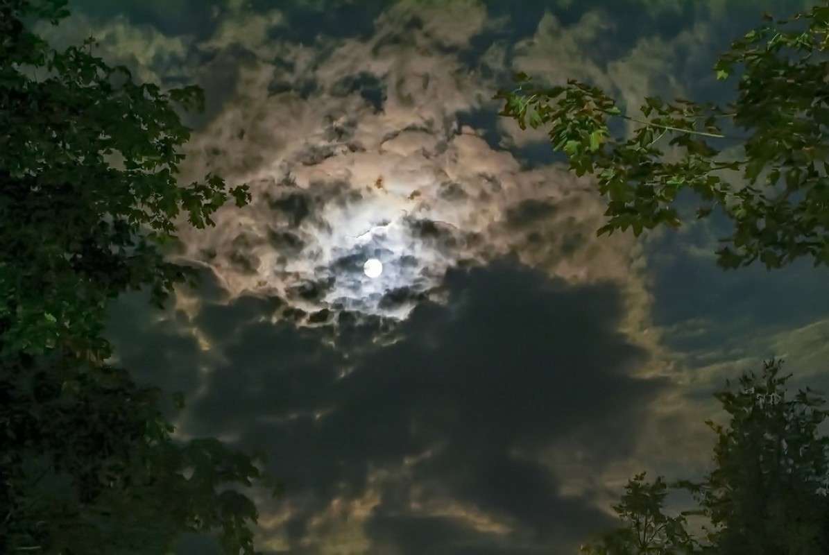 ... ����� ������� ���������� �� PhotoGeek.ru #������ ��� �������