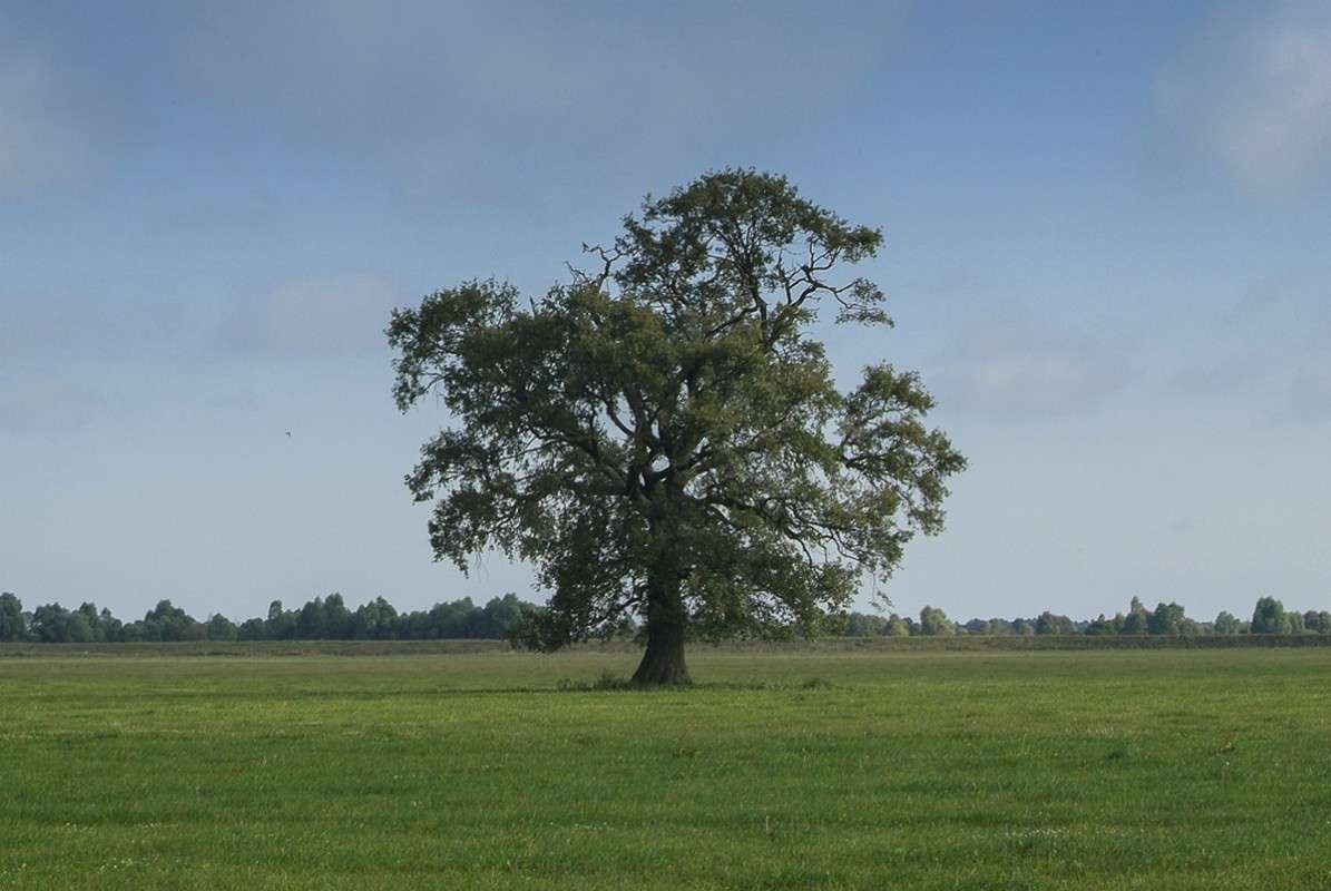 ... ����� ������� ���������� �� PhotoGeek.ru #������ ��� �������