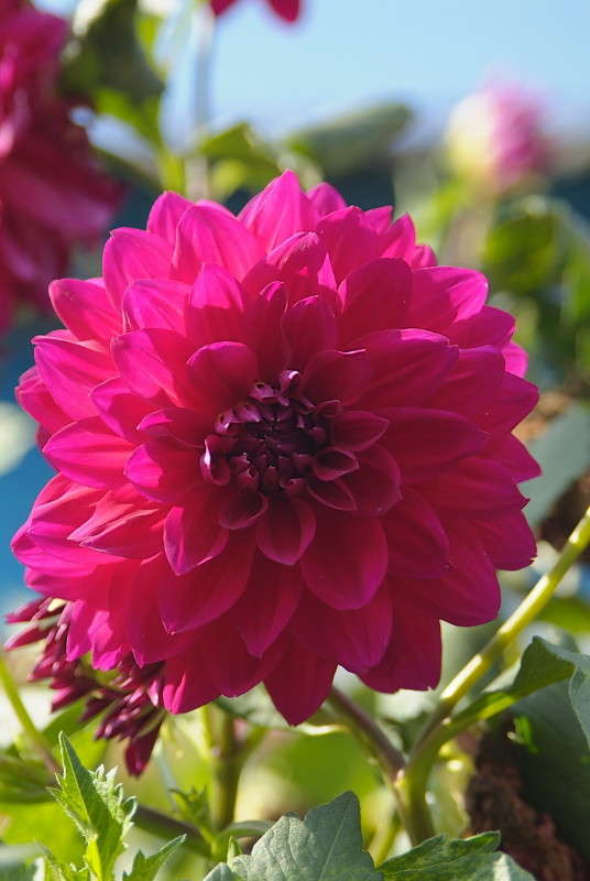 ... ����� ������� ���������� �� PhotoGeek.ru #������ ��� �������