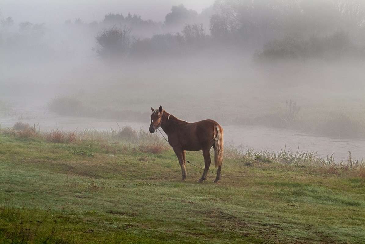 ... ����� ������� ���������� �� PhotoGeek.ru #������ ��� �������