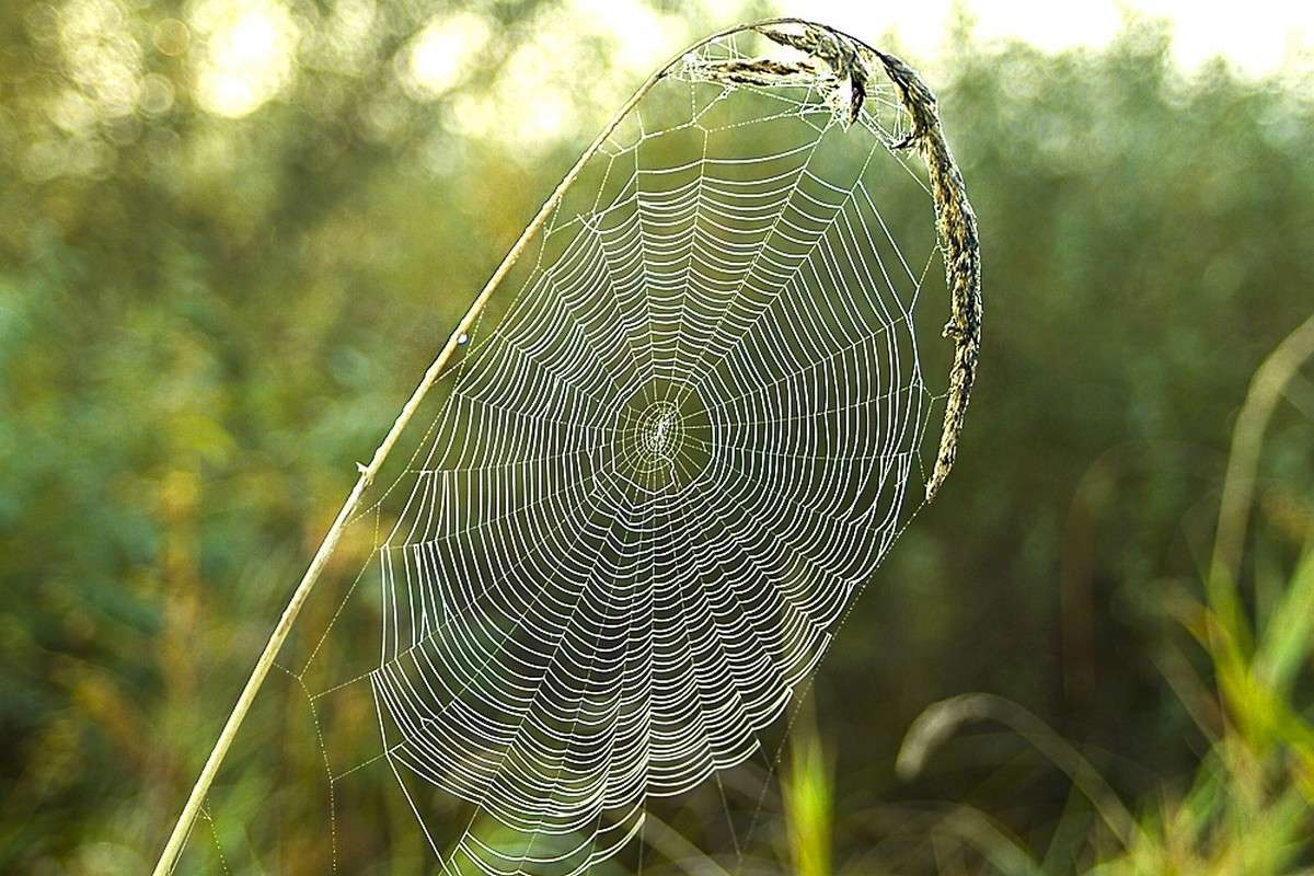 ... ����� ������� ���������� �� PhotoGeek.ru #������ ��� �������