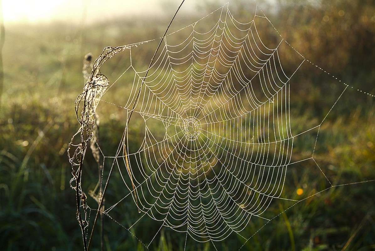 ... ����� ������� ���������� �� PhotoGeek.ru #������ ��� �������