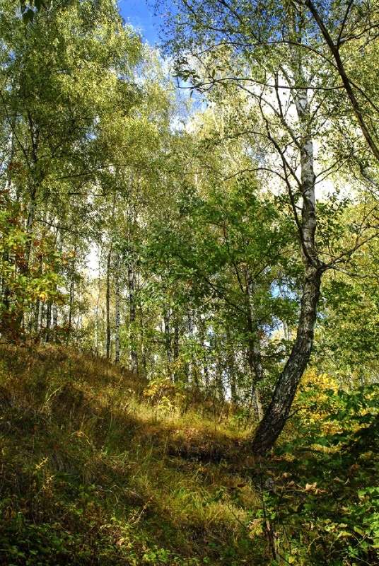 ... ����� ������� ���������� �� PhotoGeek.ru #������ ��� �������