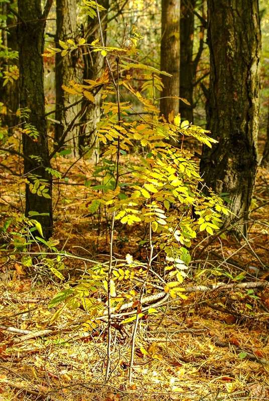 ... ����� ������� ���������� �� PhotoGeek.ru #������ ��� �������