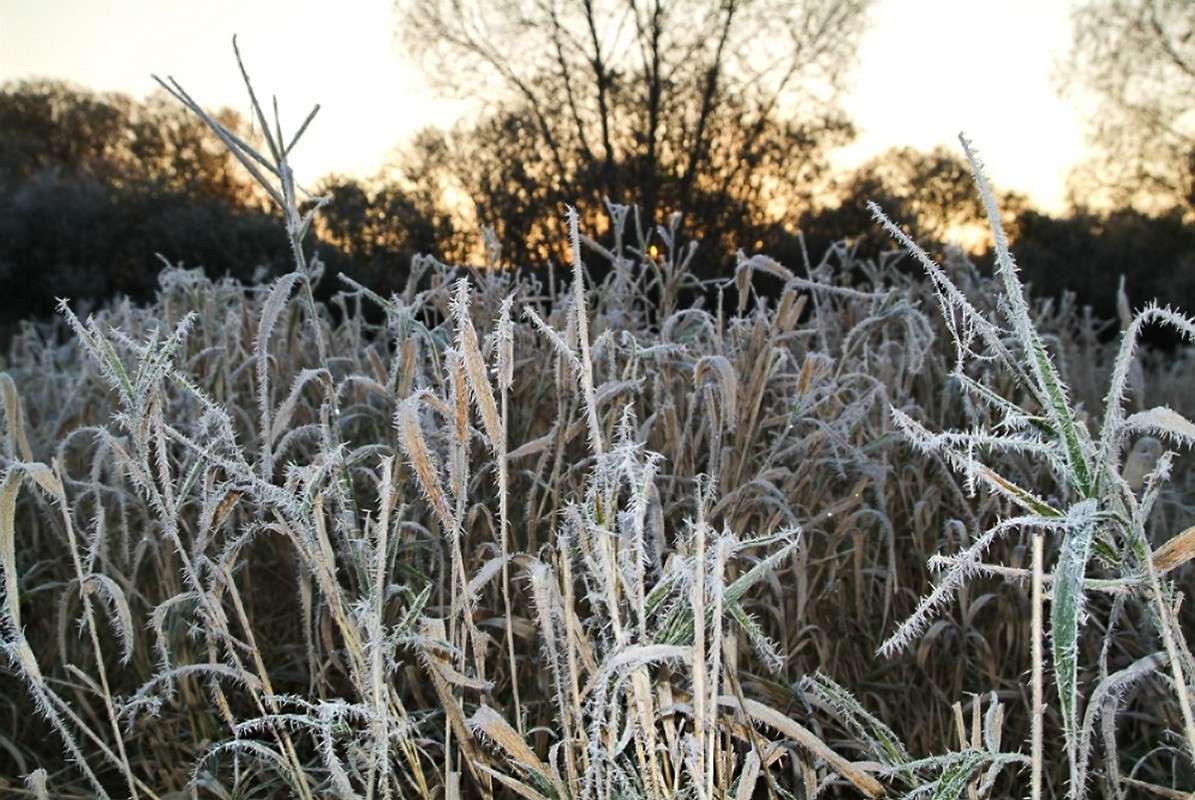 ... ����� ������� ���������� �� PhotoGeek.ru #������ ��� �������