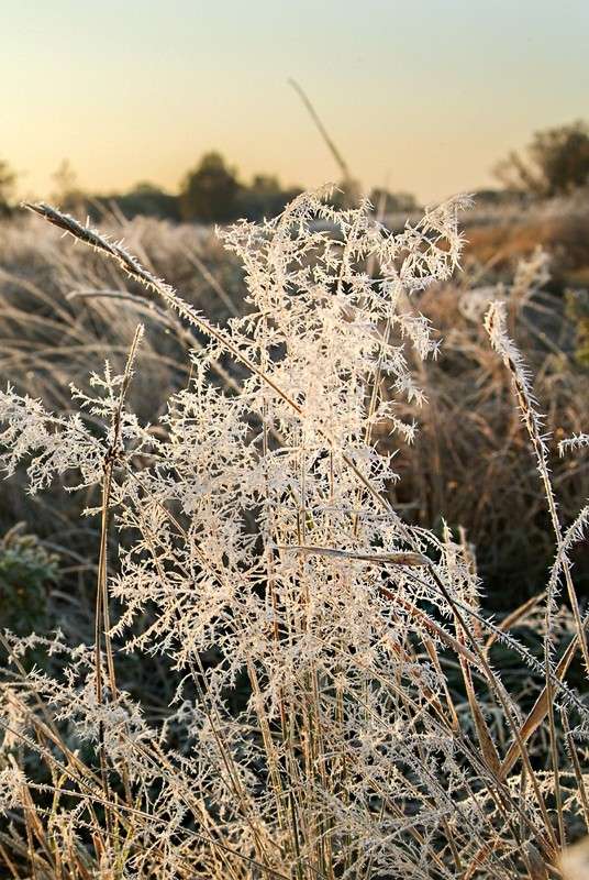 ... ����� ������� ���������� �� PhotoGeek.ru #������ ��� �������