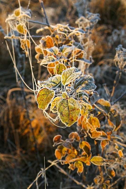 ... ����� ������� ���������� �� PhotoGeek.ru #������ ��� �������