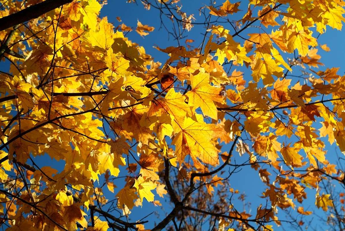 ... ����� ������� ���������� �� PhotoGeek.ru #������ ��� �������