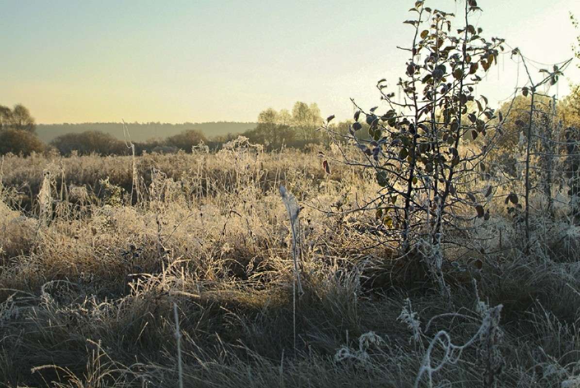 ... ����� ������� ���������� �� PhotoGeek.ru #������ ��� �������