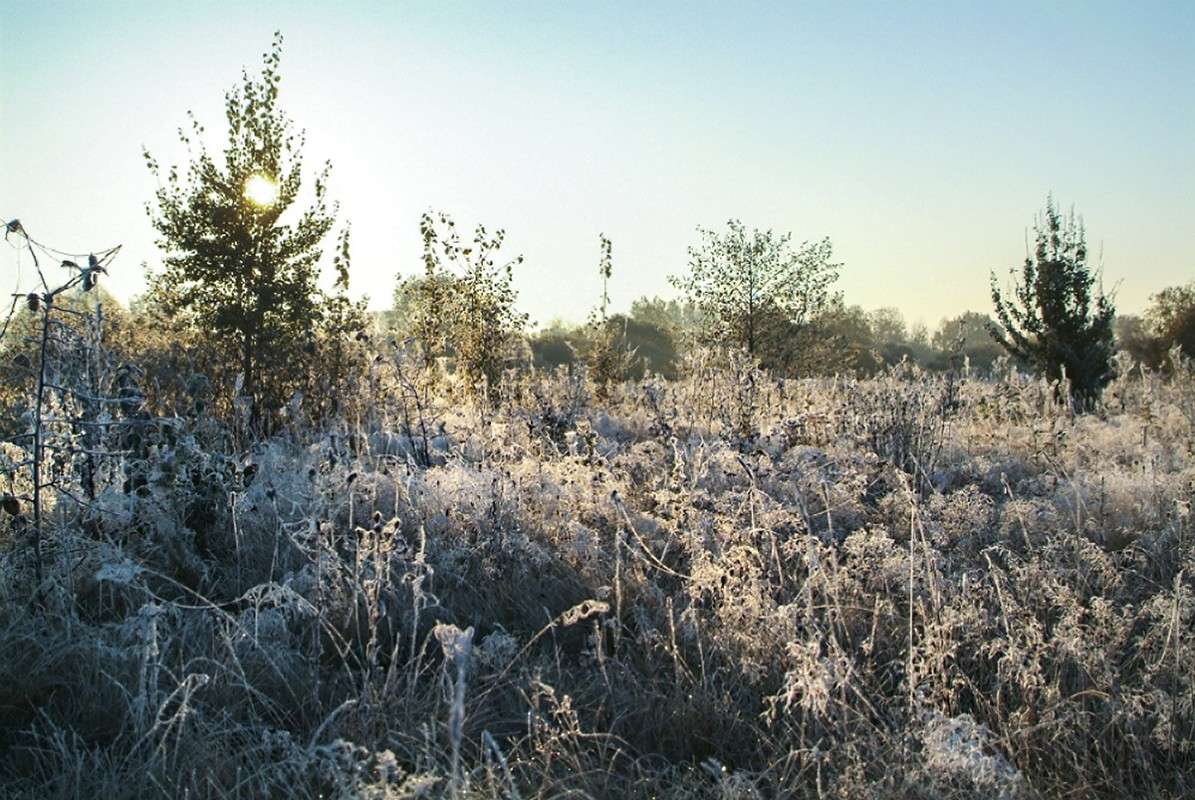 ... ����� ������� ���������� �� PhotoGeek.ru #������ ��� �������