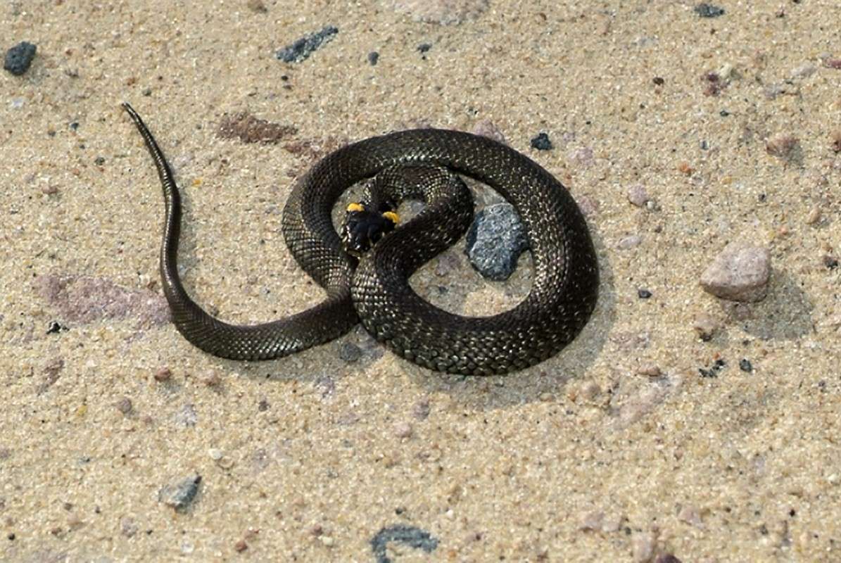 ... ����� ������� ���������� �� PhotoGeek.ru #�������� ���