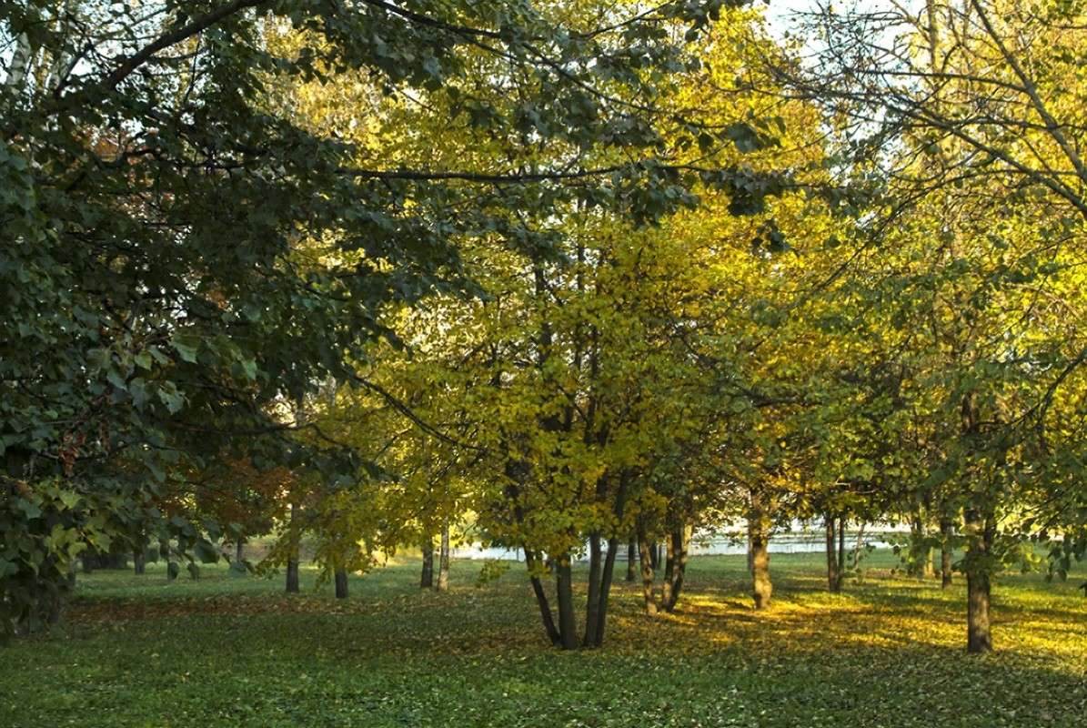 ... ����� ������� ���������� �� PhotoGeek.ru #������ ��� �������