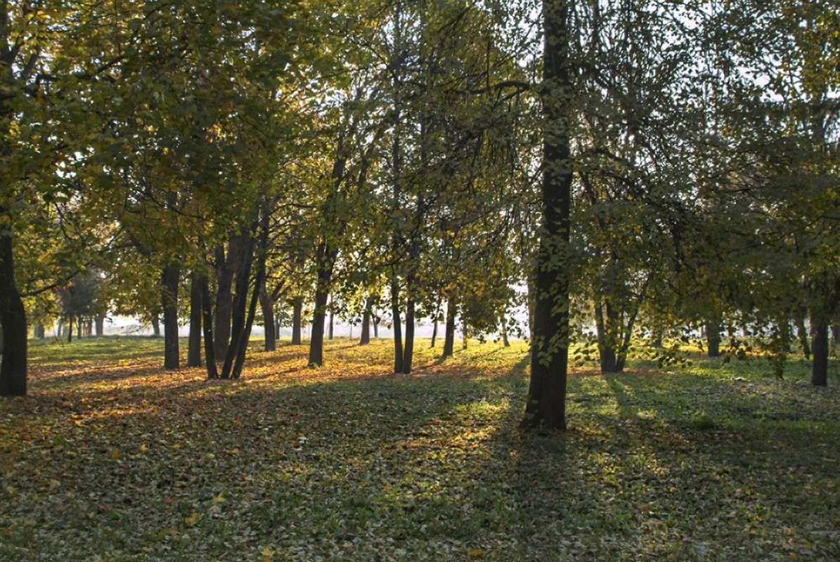 ... ����� ������� ���������� �� PhotoGeek.ru #������ ��� �������