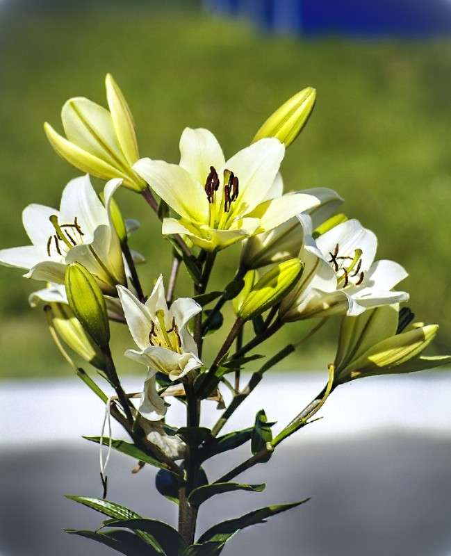 ... ����� ������� ���������� �� PhotoGeek.ru #������ ��� �������