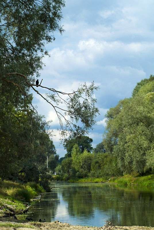 ... ����� ������� ���������� �� PhotoGeek.ru #������ ��� �������