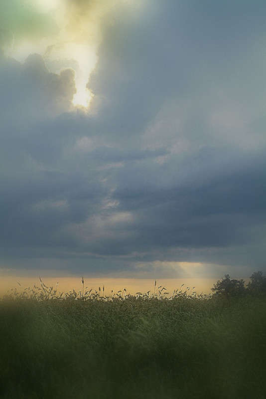 ... ����� ������� ���������� �� PhotoGeek.ru #������ ��� �������