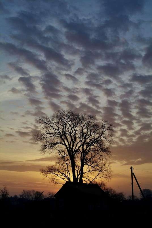 ... ����� ������� ���������� �� PhotoGeek.ru #������ ��� �������