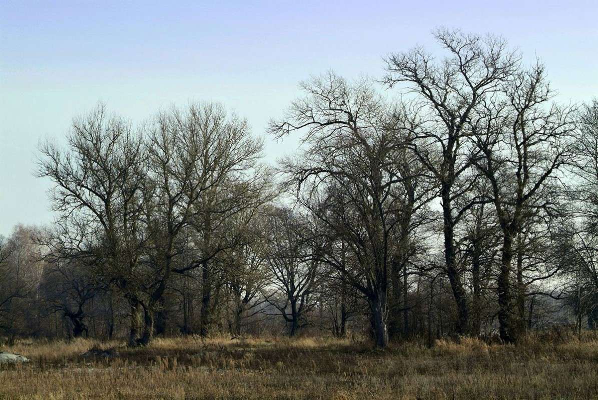 ... ����� ������� ���������� �� PhotoGeek.ru #������ ��� �������