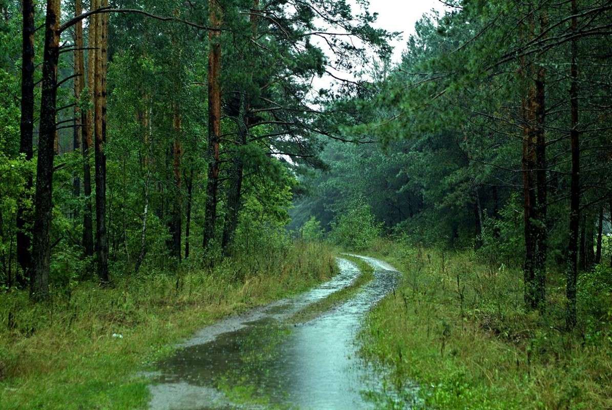 ... ����� ������� ���������� �� PhotoGeek.ru #������ ��� �������