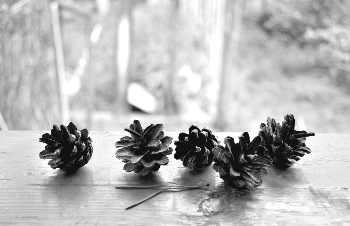 ... ����� ���������  �� PhotoGeek.ru #��������� #������ ��� ������� #����� �������������� #������������� #������ #�����-�����