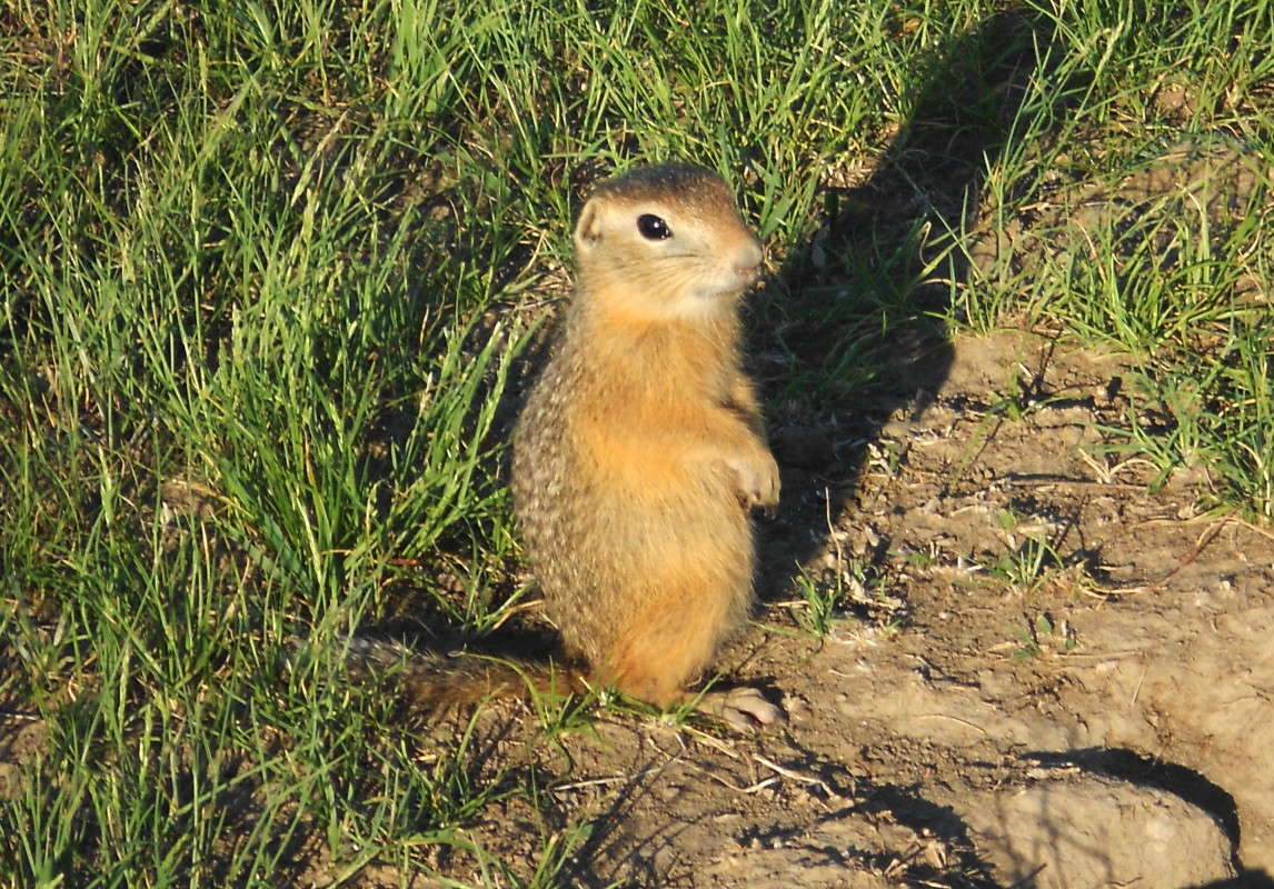 ������.������ ��������))) ����� ���������  �� PhotoGeek.ru #�������� ��� #����� ��� ��� ���������