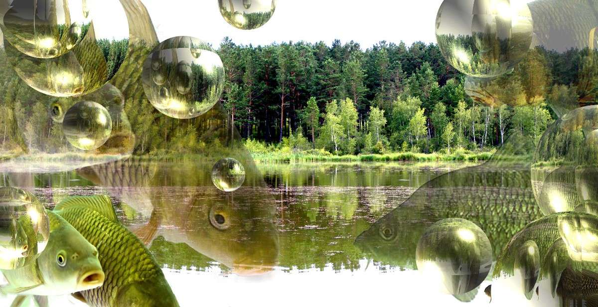 ��� ������� �����... ����� ���������  �� PhotoGeek.ru #������ #�������� ��� #������ ��� ������� #���-�����������