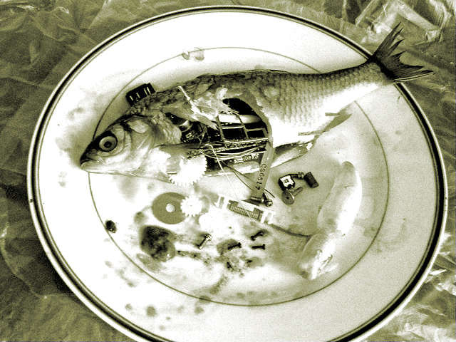 ���������... ����� ���������  �� PhotoGeek.ru #����� #��������� #������ ��� �������