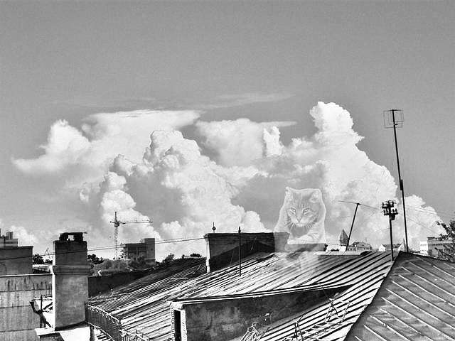 ���������� ������� ����� ���������  �� PhotoGeek.ru #����� #������