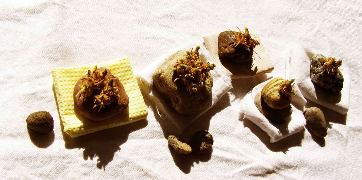 *** ����� ���������  �� PhotoGeek.ru #���������