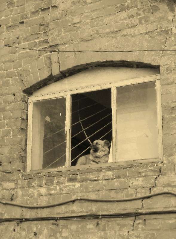 ...� ��� ���� � ��� �����... ����� ���������  �� PhotoGeek.ru #����� #�������� ���