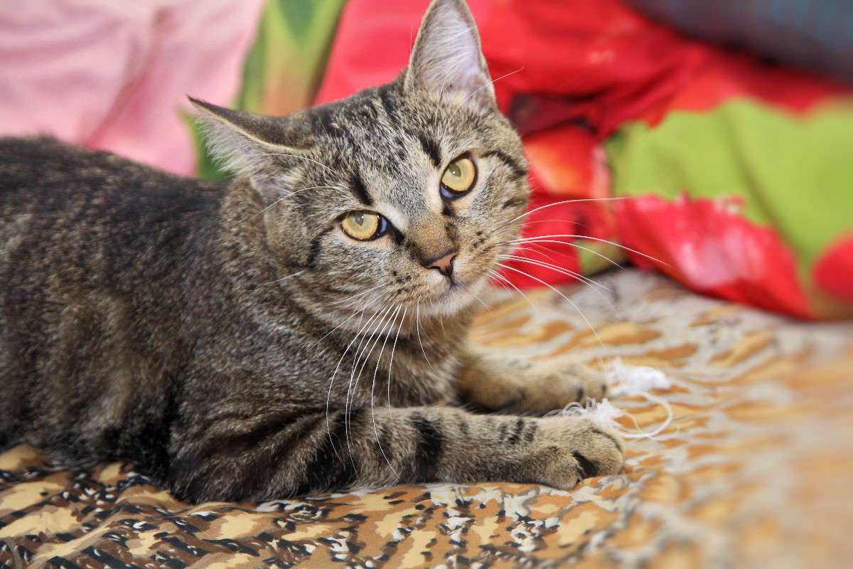 ������ ����� �����  �������� �� PhotoGeek.ru #�������� ���