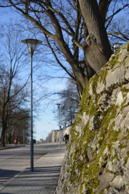 ��� ������� �� ��������. ������ ������ ����� �����  �� PhotoGeek.ru #����� #������ ��� ������� #����������� #��������� ������