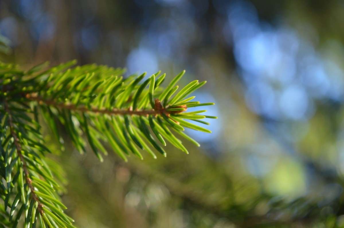 ... ����� �����  �� PhotoGeek.ru #����� #������ ��� ������� #����� ��������������